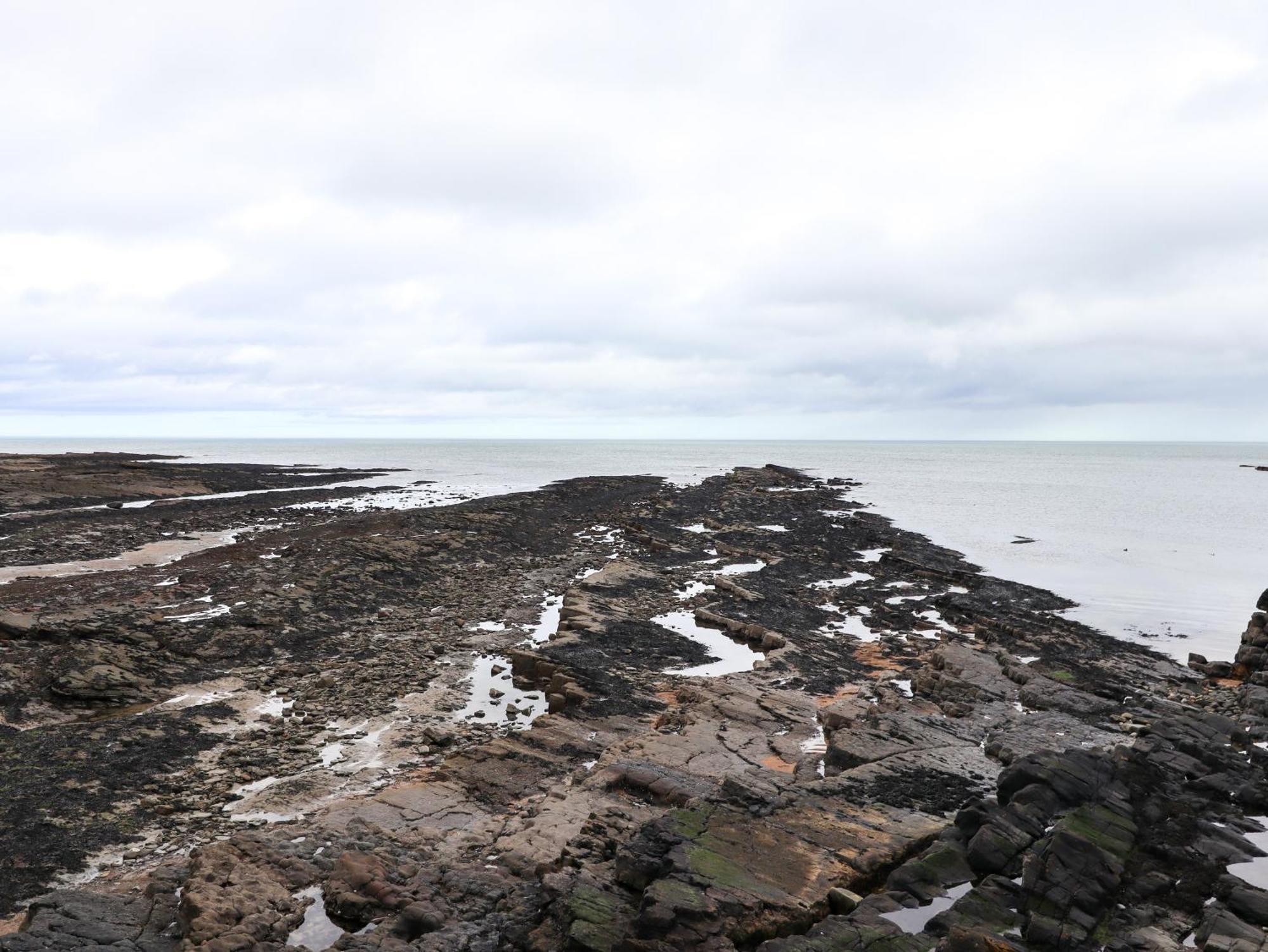 Barnacle Cove Villa Beadnell Eksteriør billede