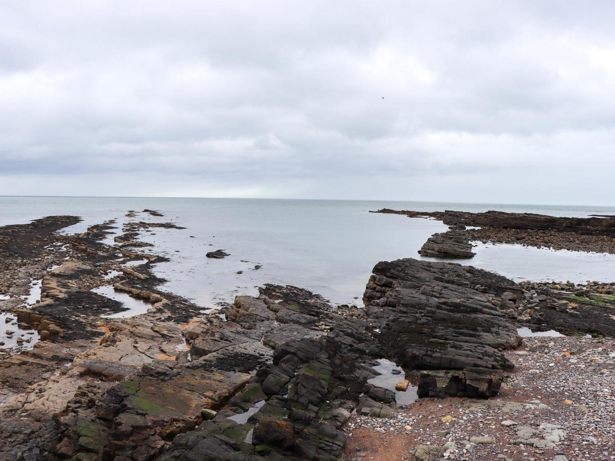 Barnacle Cove Villa Beadnell Eksteriør billede