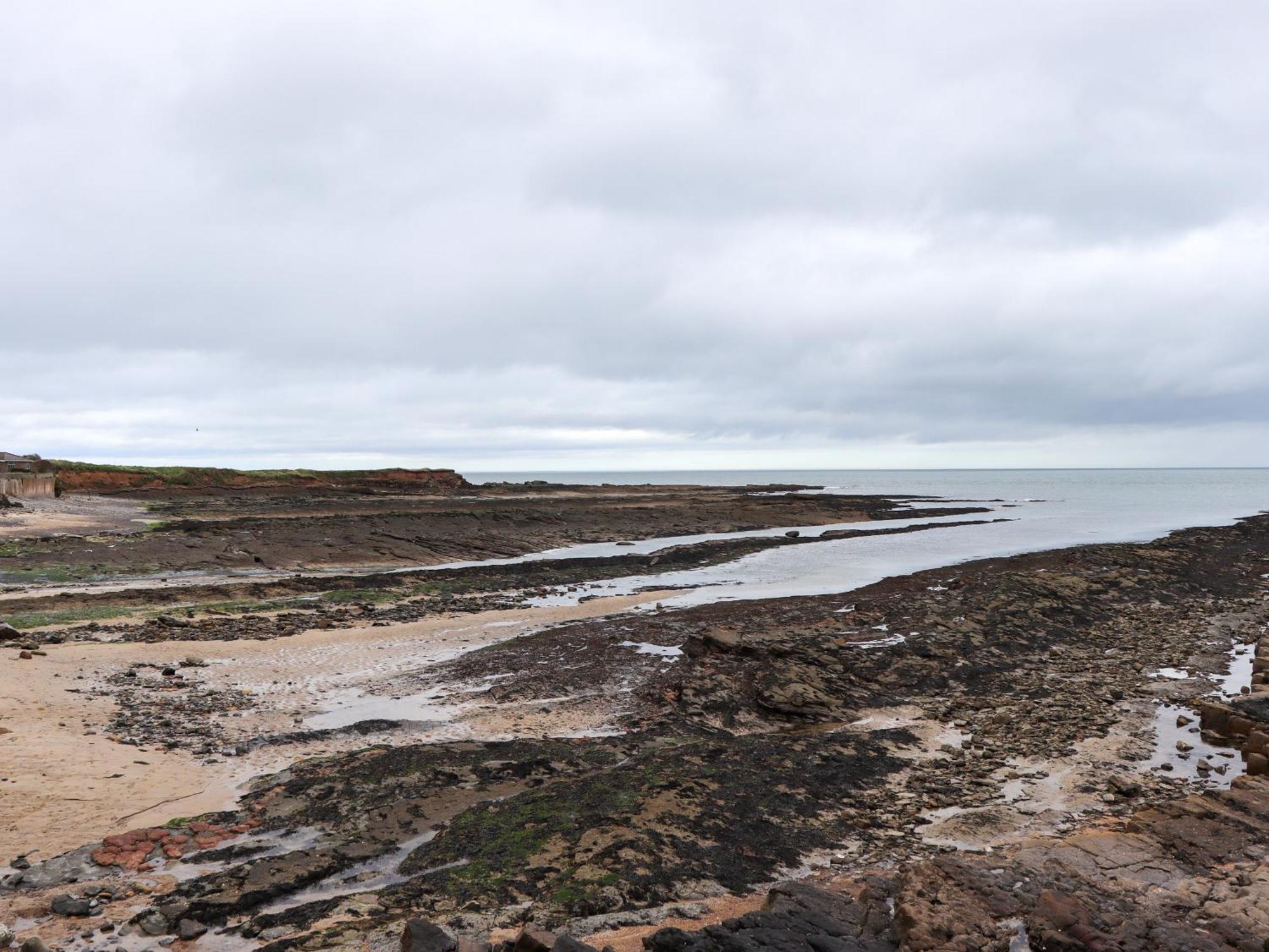Barnacle Cove Villa Beadnell Eksteriør billede